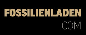 Fossilienladen